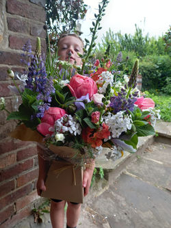 Boxed Bouquet of British Flowers
