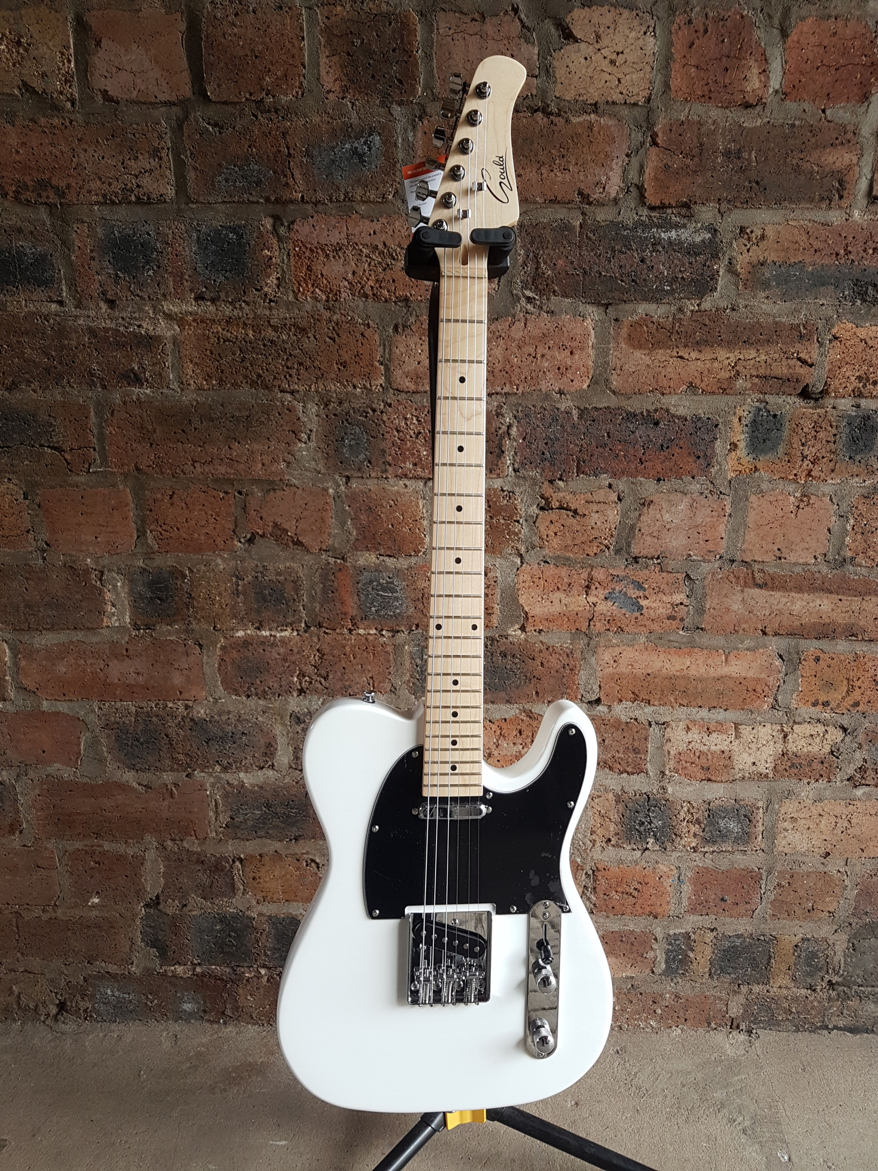 Gould GTE 100 (white) electric guitar