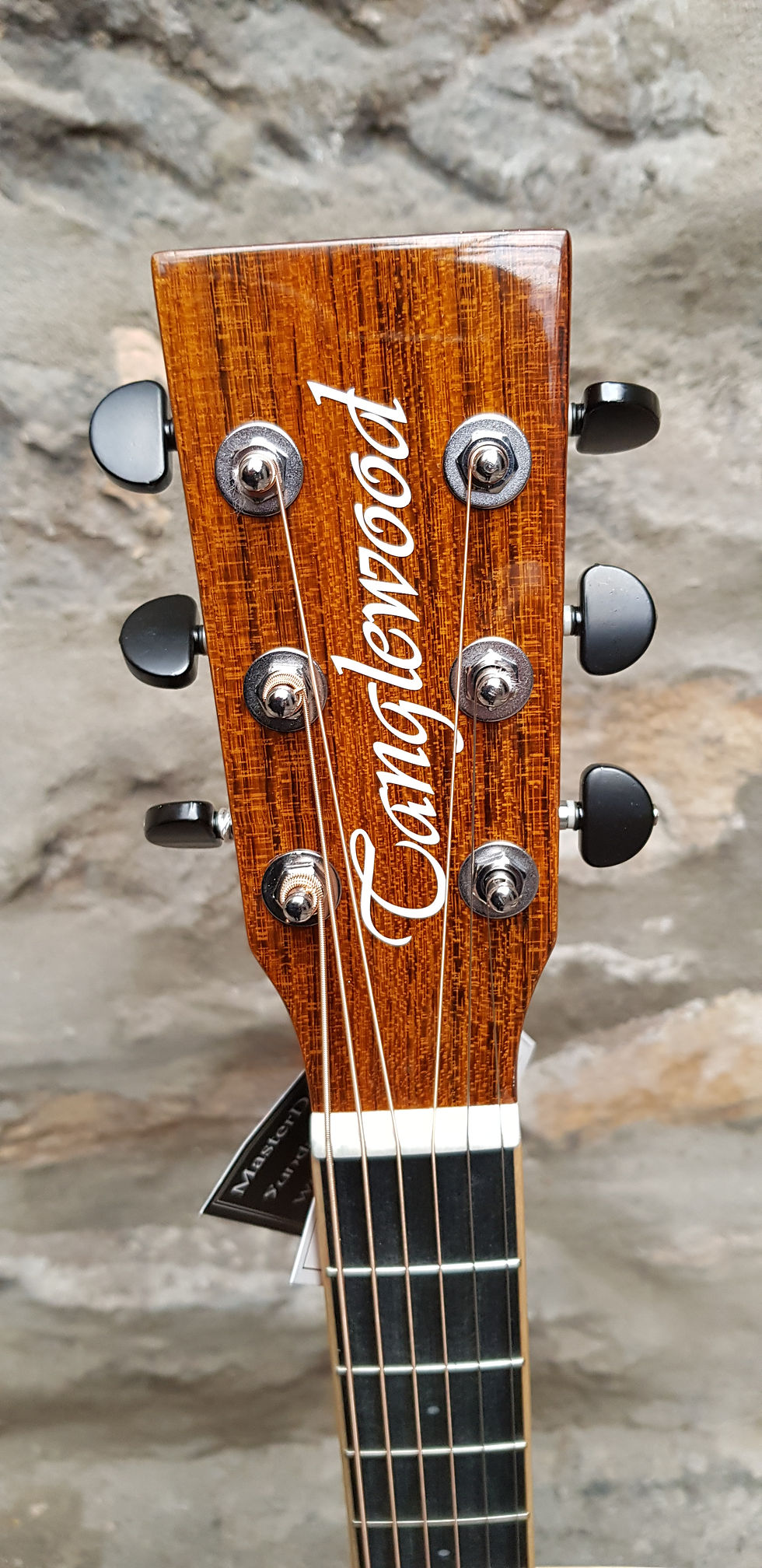 Thumbnail: Tanglewood trx5e