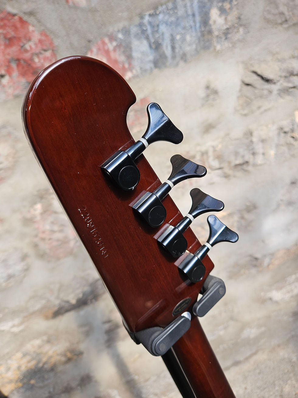 Thumbnail: Epiphone Thunderbird Bass GuitarTSB