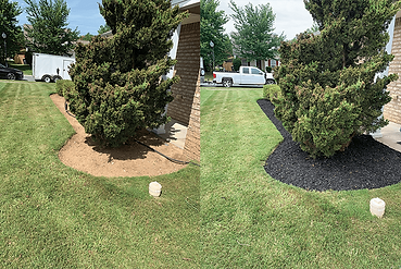 before after lawn3.png