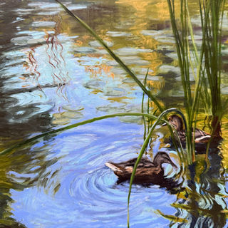 ducks in a pond