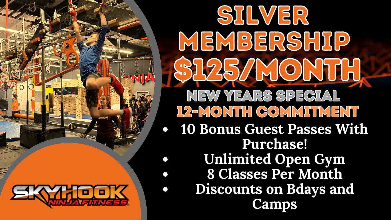 12-Month Silver Membership(Paid Monthly)