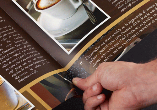 brochures-3.gif
