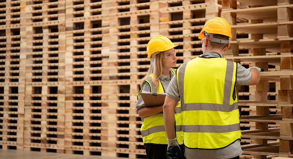 vecteezy_both-of-workers-work-in-a-woodworking-factory-checking_31607938.jpg