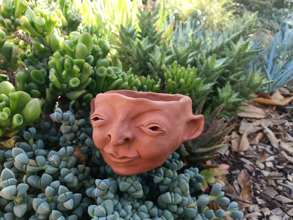Thumbnail: Cecil - Handmade Terracotta Face Pot