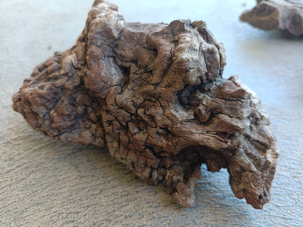 Thumbnail: Premium Ancient Feature Wood