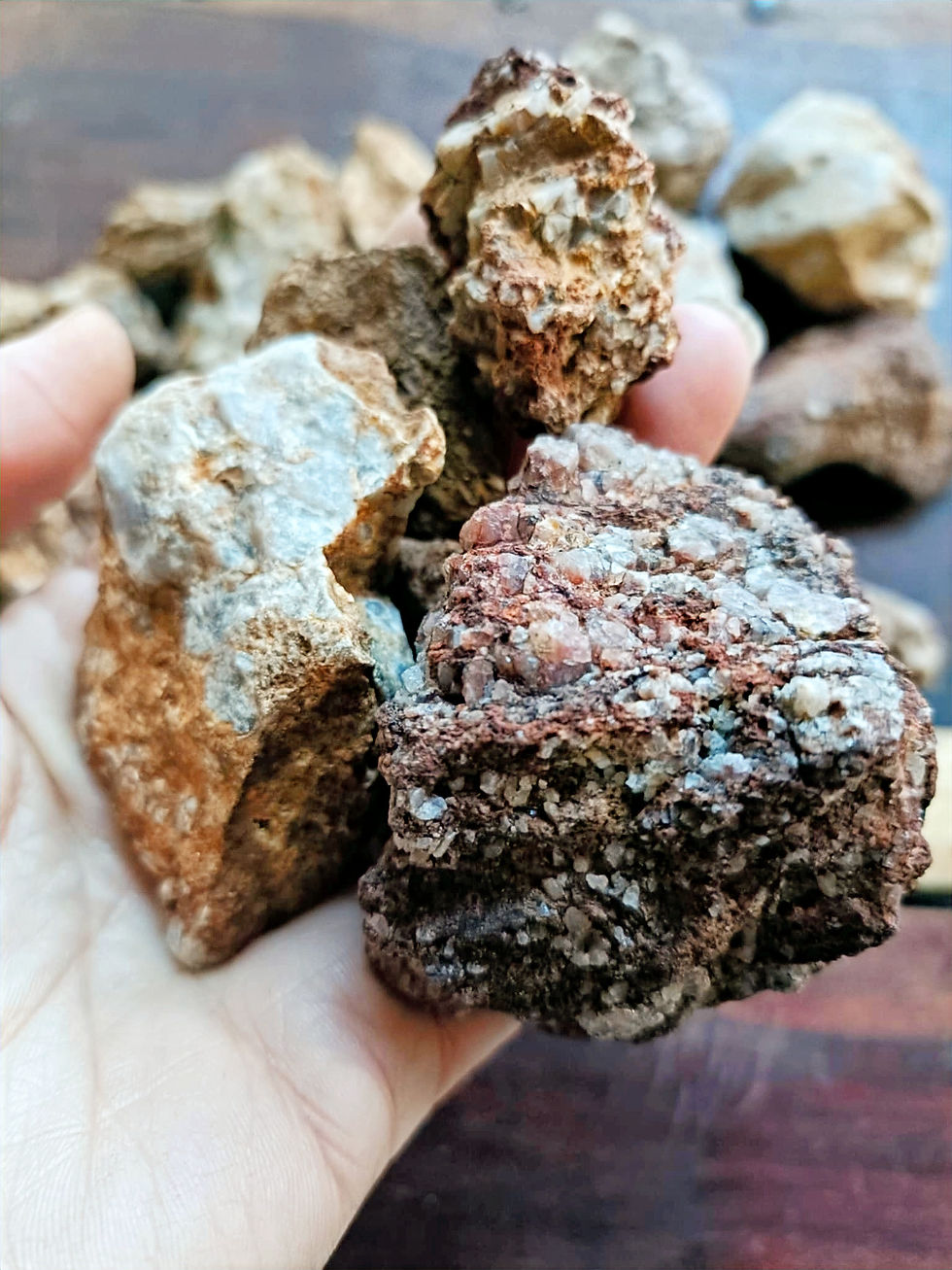 Thumbnail: Mixed Natural Terrarium Rocks - 300g