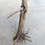 Thumbnail: Bonsai Tree Root - Natural Wooden Craft Supply