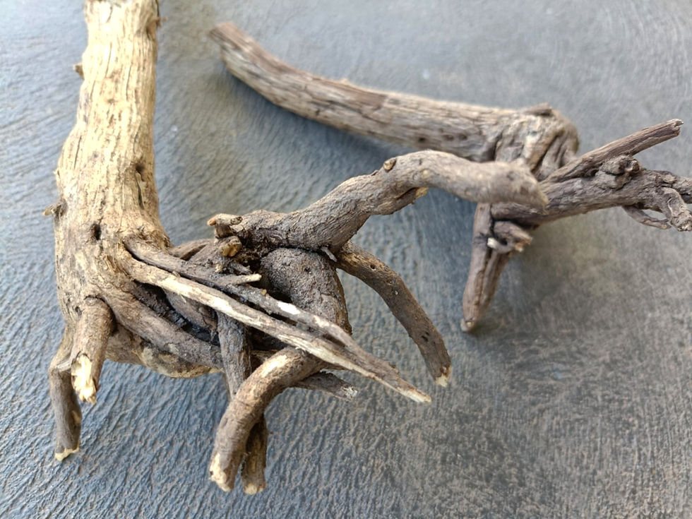 Thumbnail: Bonsai Tree Root - Natural Wooden Craft Supply