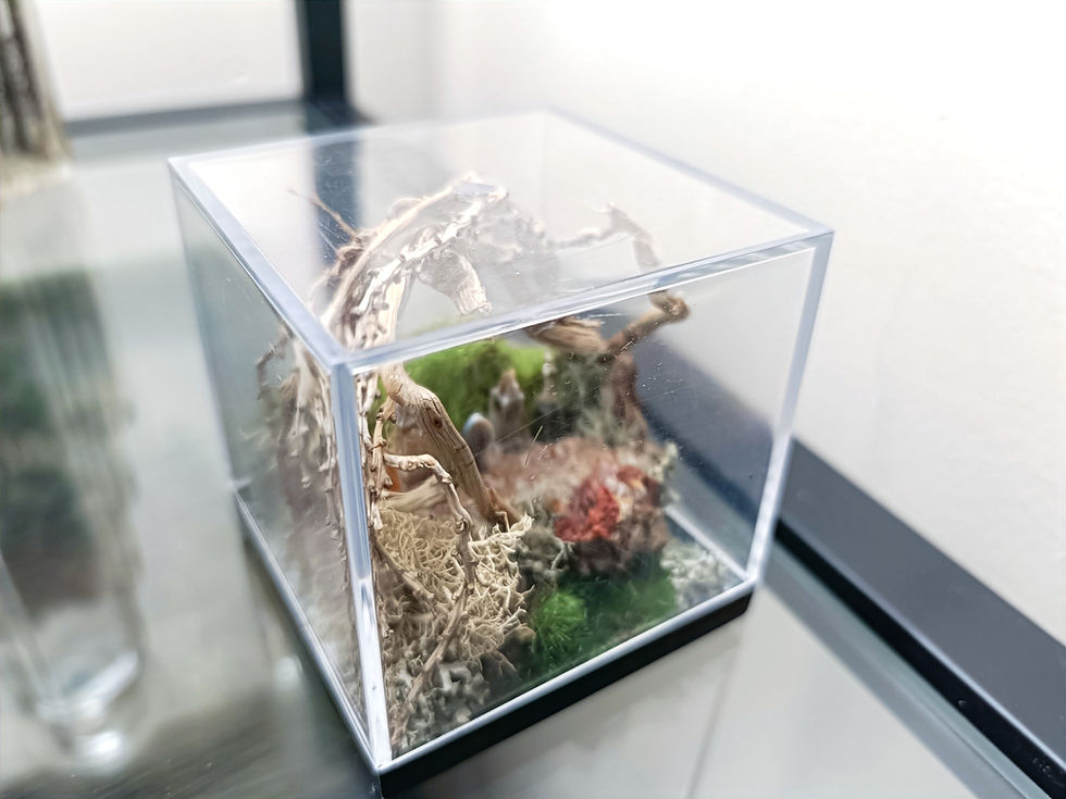 Thumbnail: Miniature Graveyard