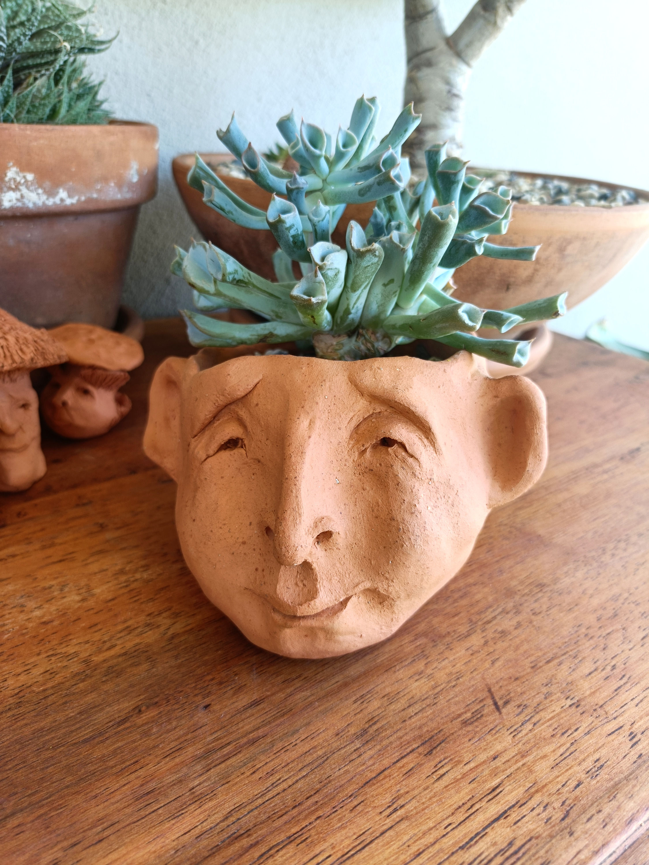 Dolores - Handmade Terracotta Face Pot