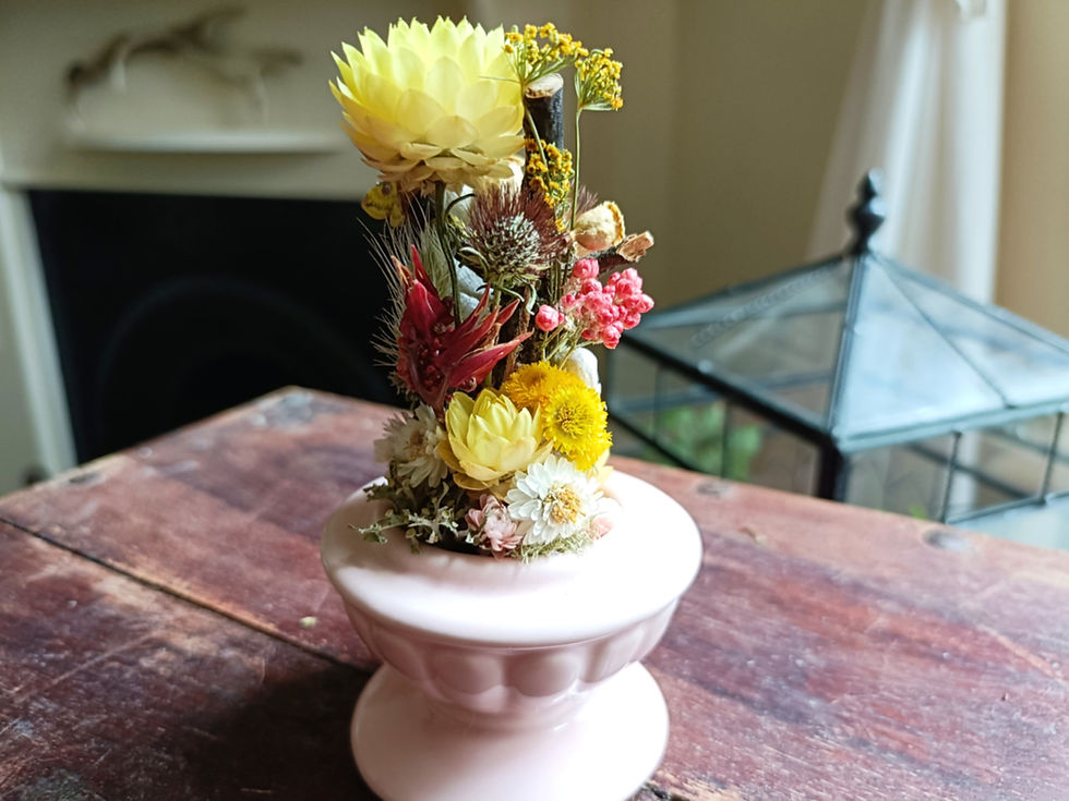 Thumbnail: Tiny Kodama Forest