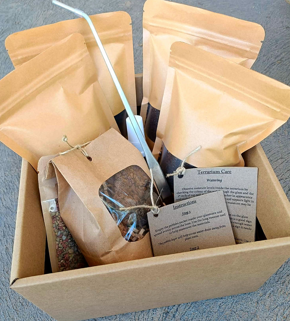 DIY terrarium kit with soils, materials and tools