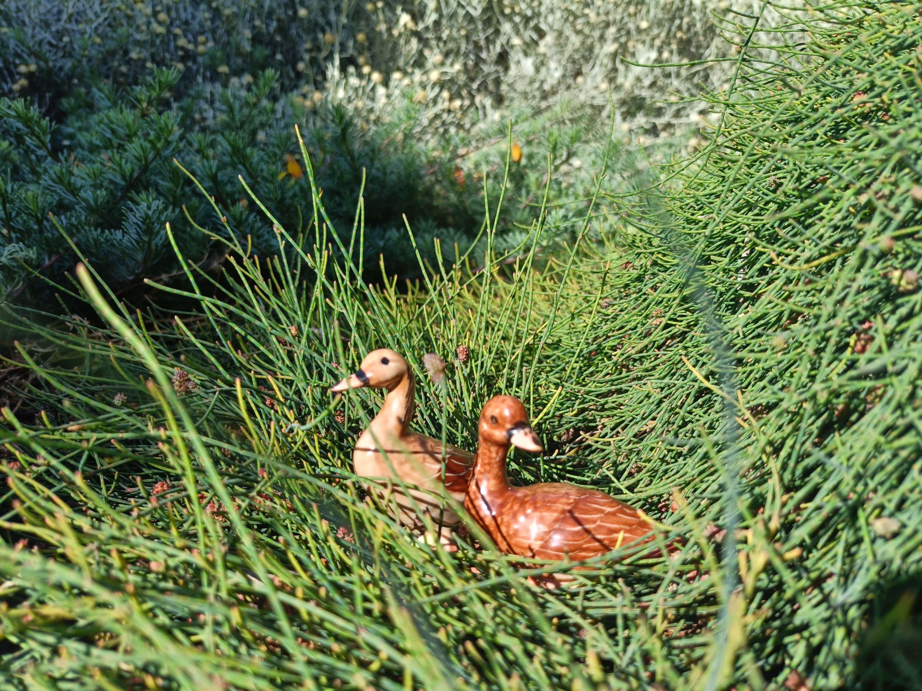 Ceramic Duck Figurine