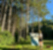 headshot painting trees new.jpeg