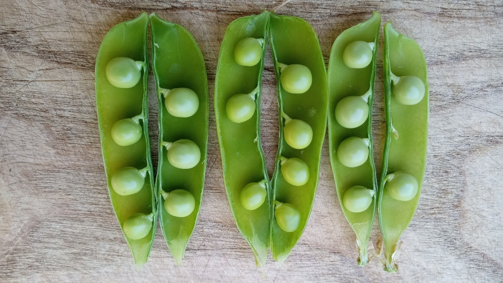 Pois à écosser "Hâtif d'Annonay"