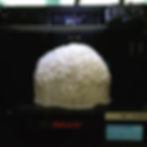 FDM 3D-PRINTED BRAIN