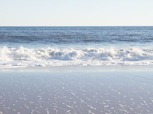 On the Symphony of Life