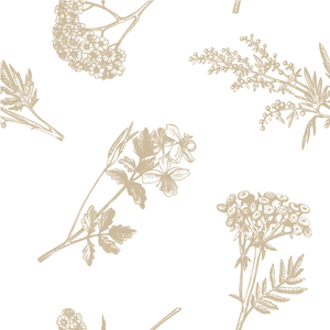 Storage Closet Declutter 