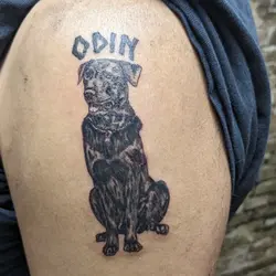 1000014491