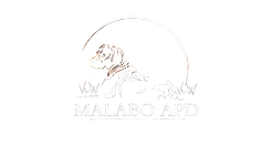 foto_malabo-removebg-preview.png
