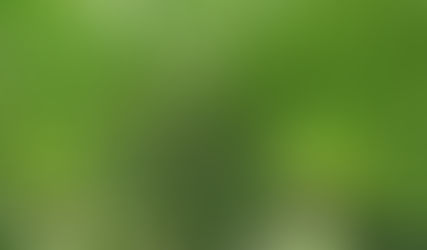 More than You Think: A Palm Sunday Reflection