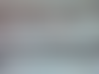 Jellybean Highfive and the Tyrannic Dominion of Lord Kings