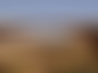 The Narrative Bridge