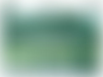 Imitation, Theft, and Collaboration