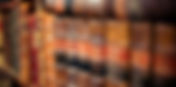 Madison Tells You Why We Need Books