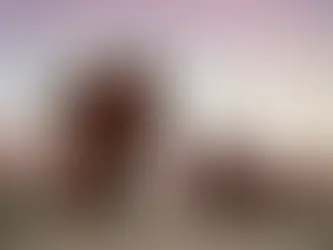 The Holy Work of Shape-shifting Dragons