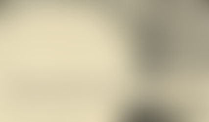 The Mantis and the Moon