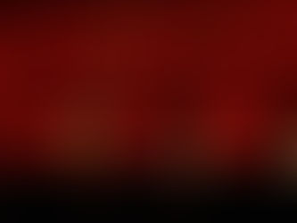 2008 — A Good Year for Indie Film