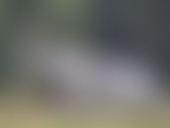 Brennan Manning and the Dun Cow