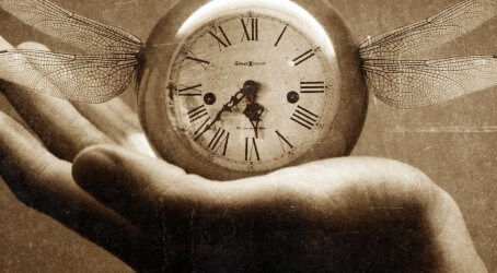 Time Flies (by Julie Silander)