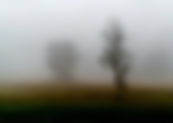Loneliness in Marilynne Robinson’s Jack