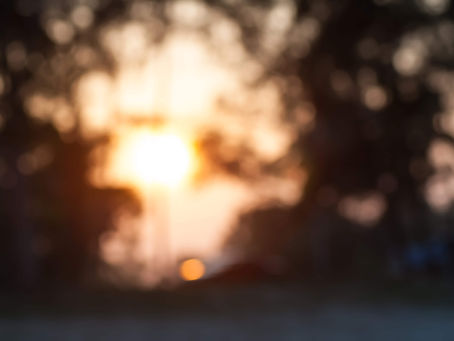 Creative Intent, Part Two: Flowers and Sacraments