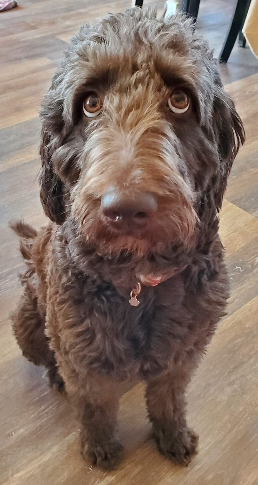 Willow's expressive eyes!
