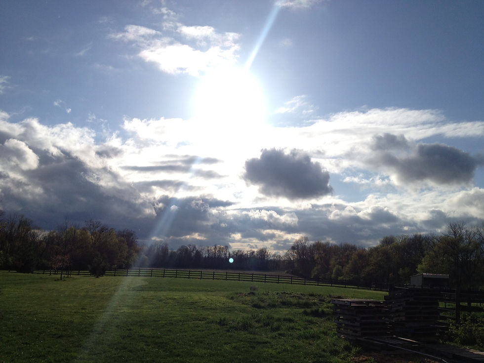 sun ray