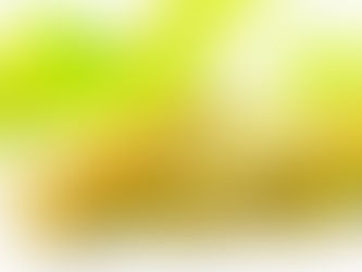 How is corn converted to Corn oil or refined Oil?