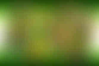 GraniteCon 2025 - TMNT Poster - Version 2