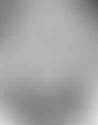 Dredd Head Study - February 2025