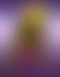 GraniteCon 2025 - Stand-Alone Series - Donatello