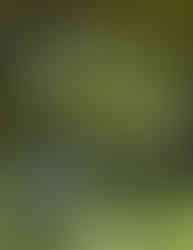 Killer Croc - Villain-tober 2023