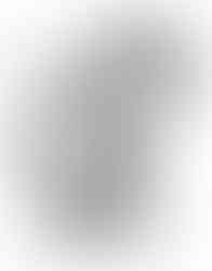 Ruff Riders Commission Concept Sketch 1