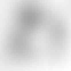 Panel Practice 2 - June 2024