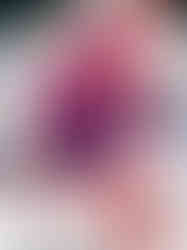 The Warrior Reboot - August 2024