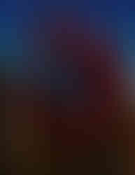 The Warrior 2023 - February 2023