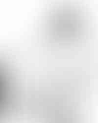 Gesture Practice with Dan Lawlis 2 - June 2024